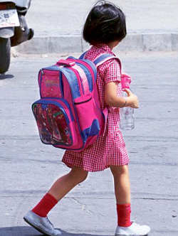 School carry on sale bag